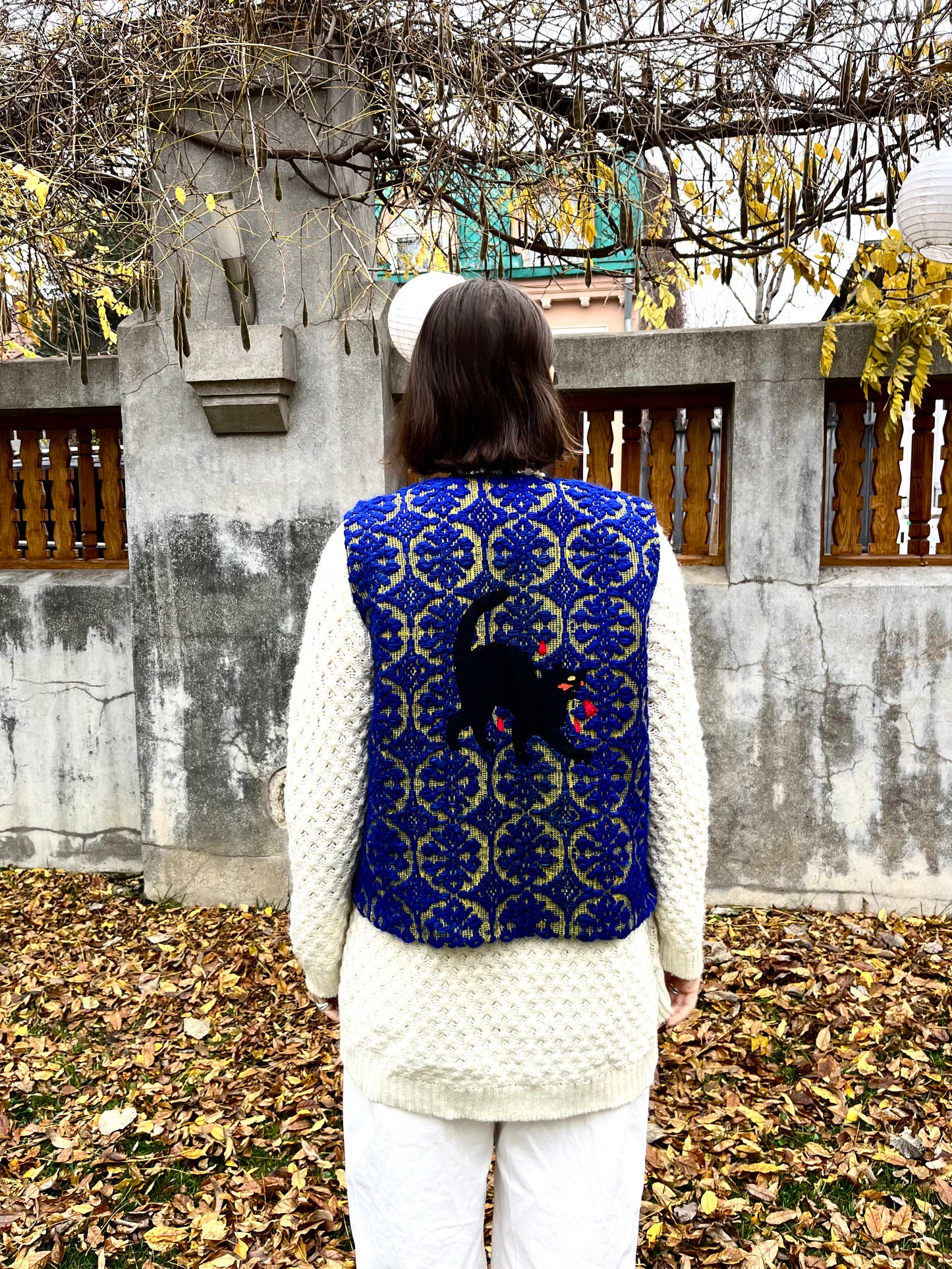 Vestă pisica blândă zgârie rău