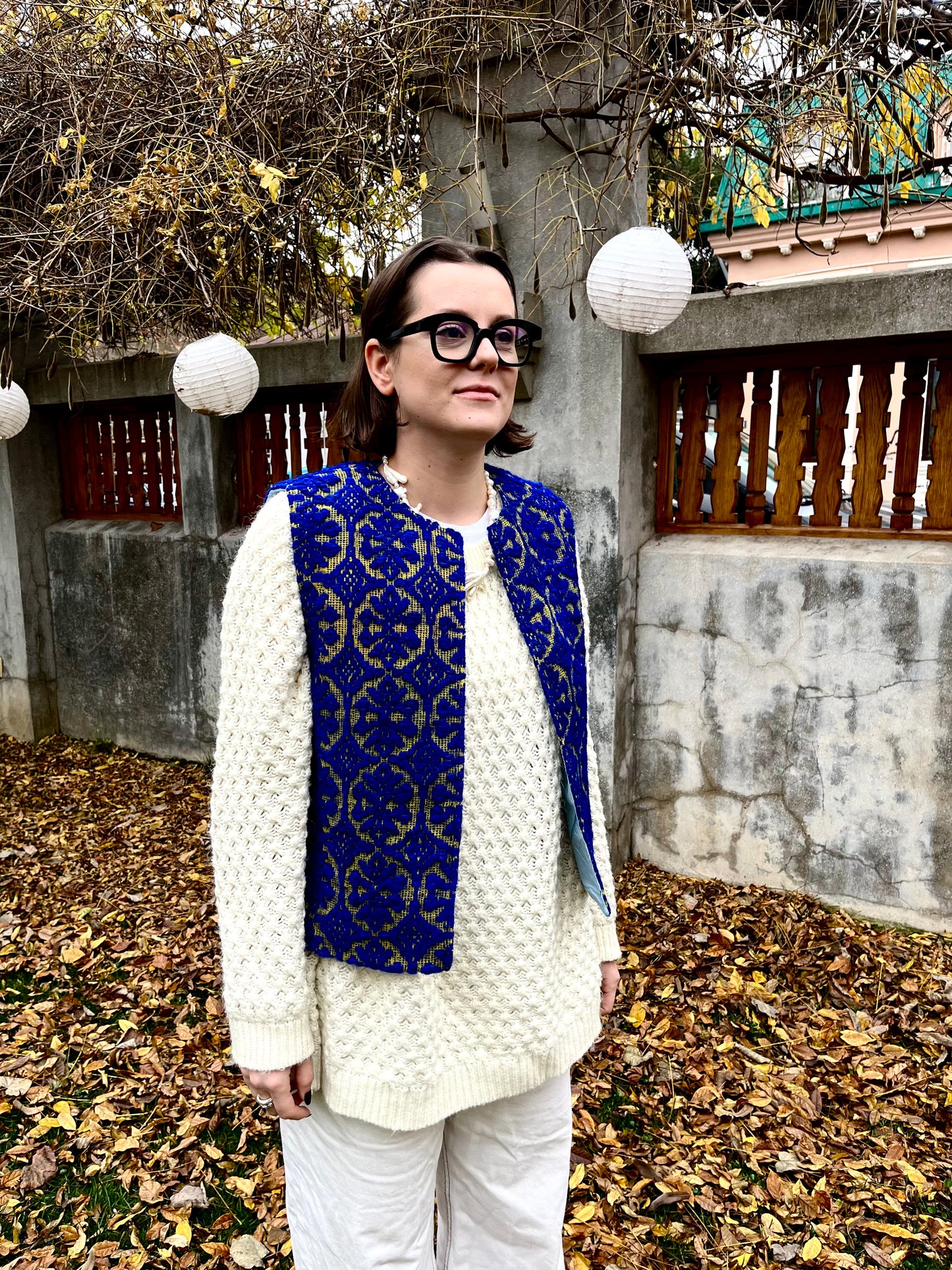 Vestă pisica blândă zgârie rău