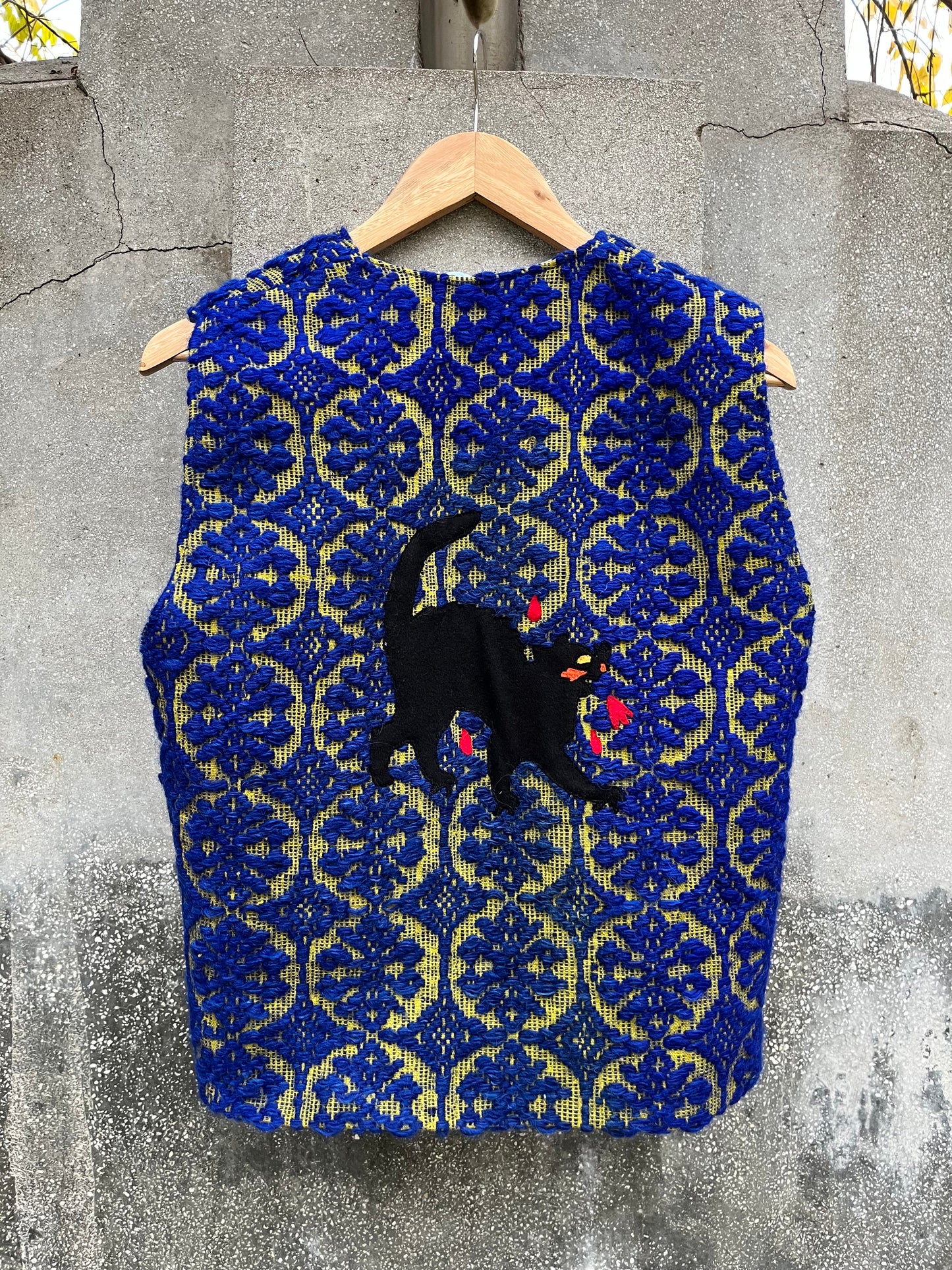 Vestă pisica blândă zgârie rău