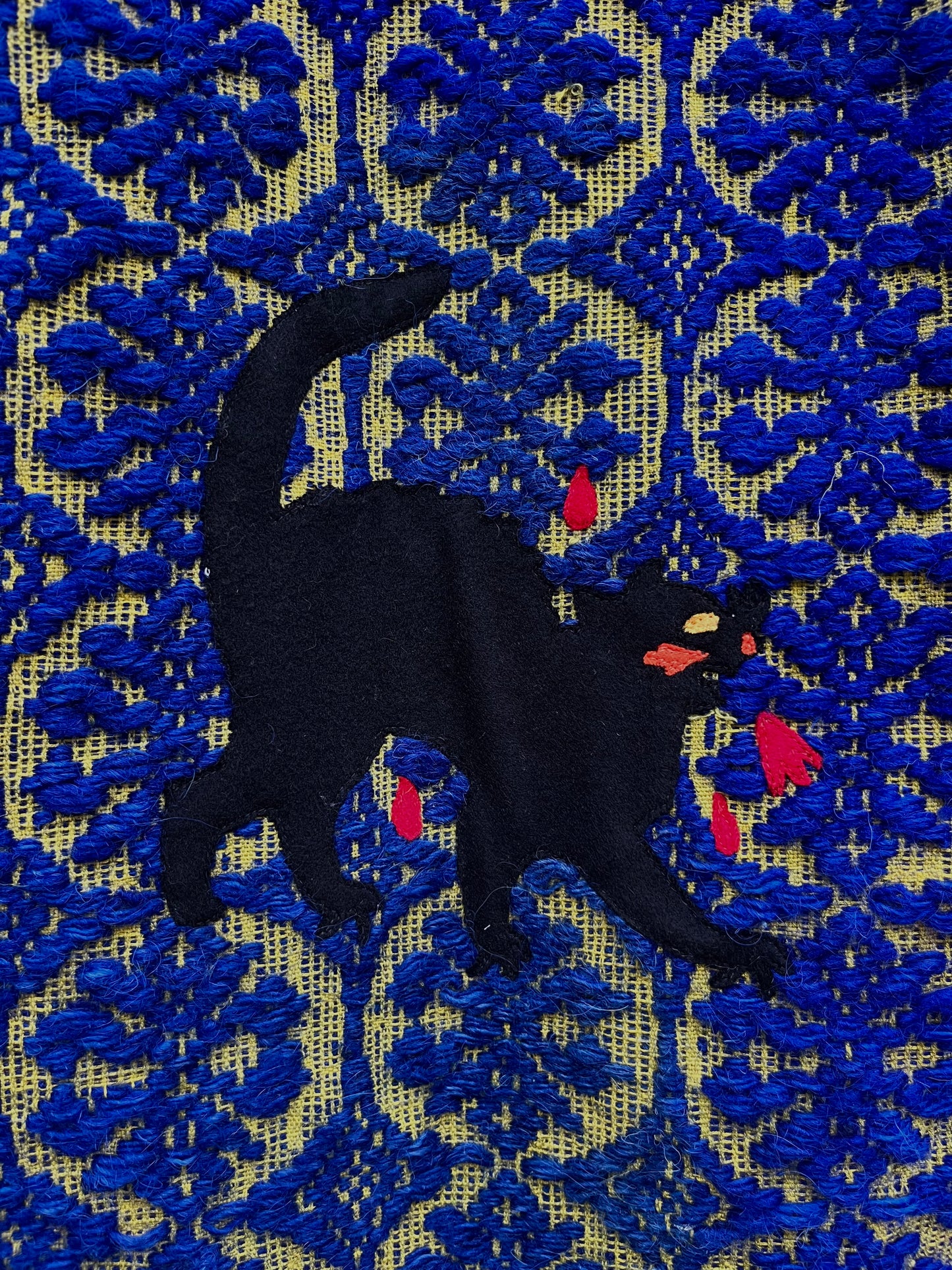 Vestă pisica blândă zgârie rău